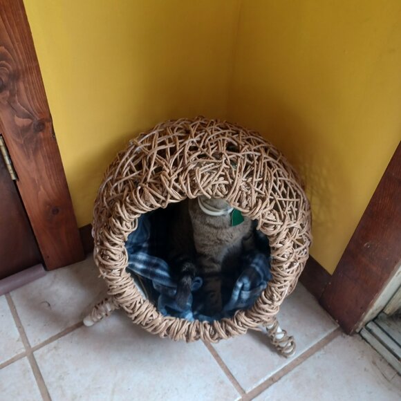 Homemade FiberRush Cat/Dog Bed small/med - Picture 14 of 16